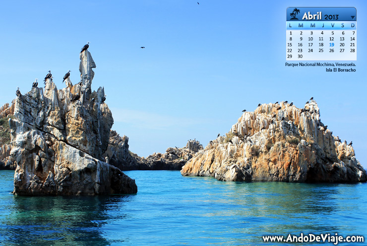 Aves sobre piedras en parque nacional mochima Venezuela