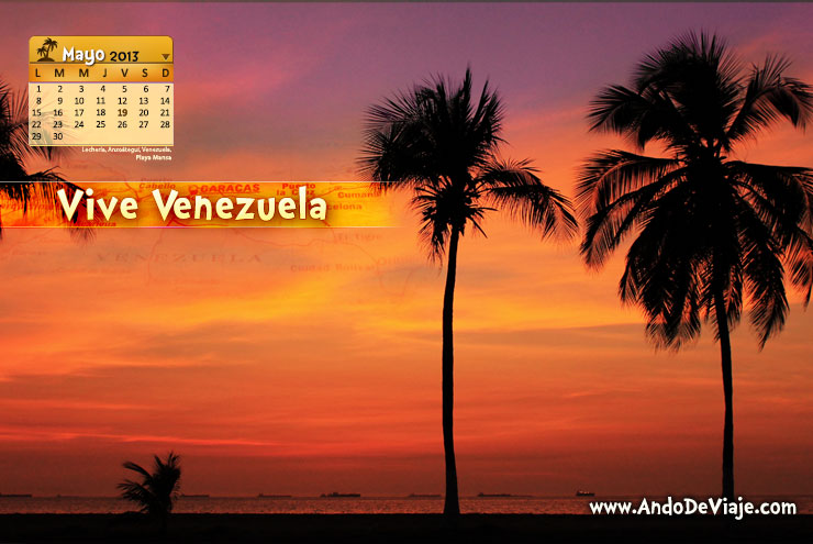 Palmeras en atardecer en playa mansa lechería